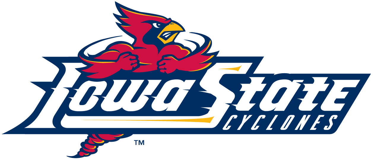 Iowa State Cyclones 1995-2007 Wordmark Logo t shirts iron on transfers v4